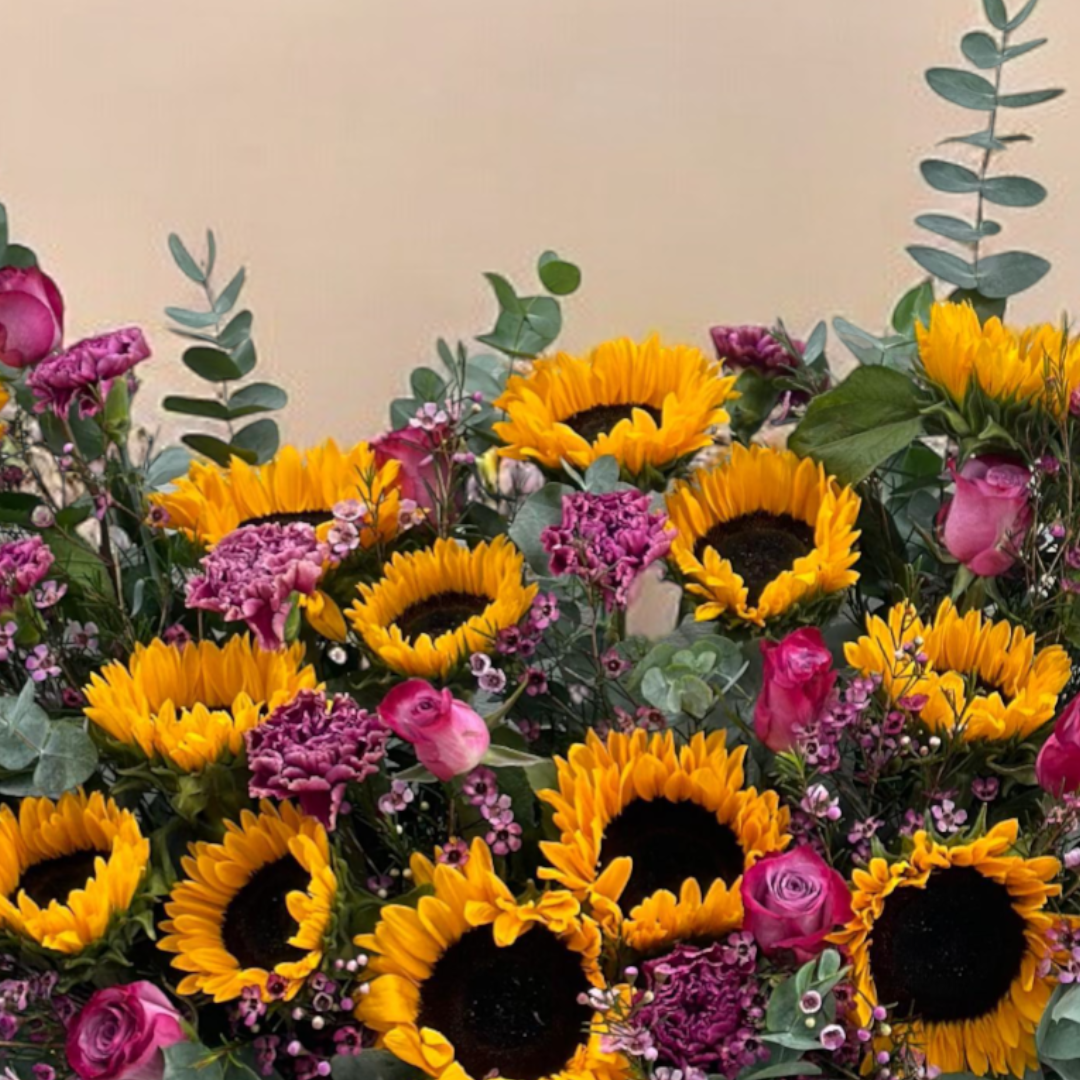 PURPLE SUNFLOWERS