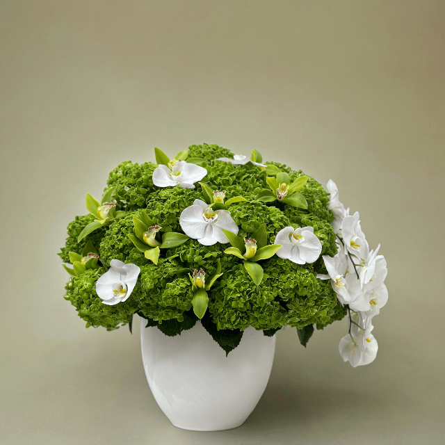 JENEEN FLOWERS FLOWERS SUMMER GREEN HYDERNGEA