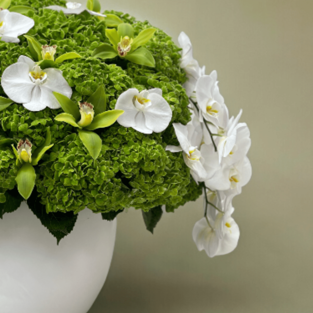 JENEEN FLOWERS FLOWERS SUMMER GREEN HYDERNGEA