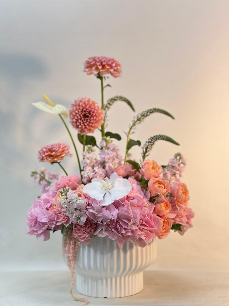Options to customize your arrangements and preferences.