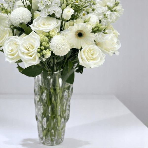 JENEEN FLOWERS flowers GERBERA WITH WATER