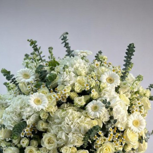 JENEEN FLOWERS flowers WHITE HYDRANGEA